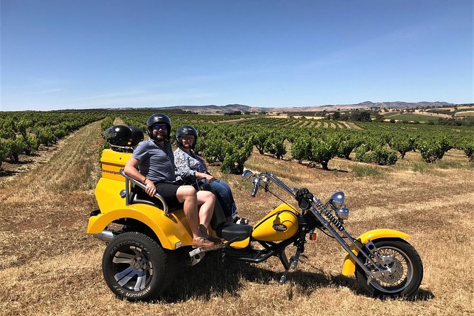 Unique Trike Barossa Valley Half Day Private Tour For 2 - How flexible stops actually change your day (and your wine style)