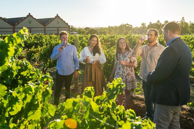 Unique Trike Barossa Valley Half Day Private Tour For 2 - Weather, clothing, and comfort on a trike ride