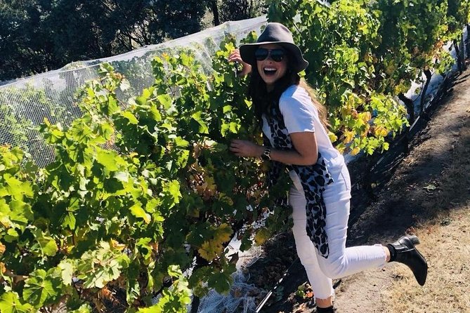 Valleys of Vino Full Day Tour - Stop 3, Coal Valley Vineyard: Another 50-Minute Tasting Window