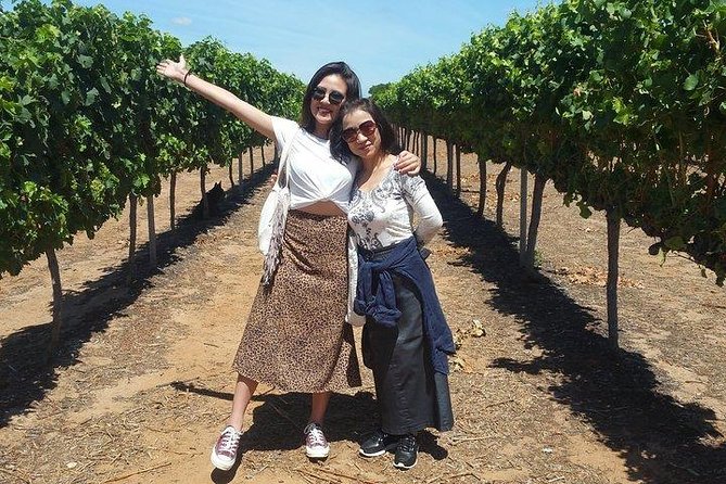 VIP Swan Valley Wine Tour - Premium Small Group Wine & Gourmet Experience - Key things to know before you go