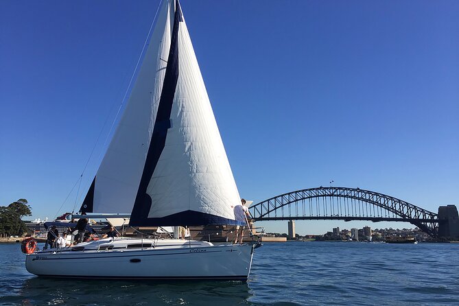 Vivid 90-Minute Sydney Harbour Catamaran Cruise with BYO Drinks - Who this cruise suits best