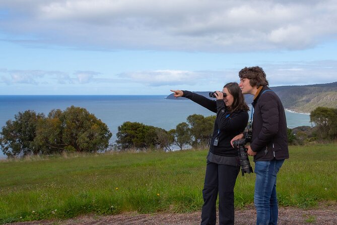 Walk with Wildlife: Guided Tour in Great Ocean Road - Why this short guided wildlife walk is a smart Great Ocean Road plan