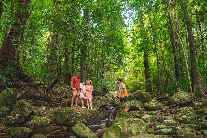 Walkabout Cultural Adventures - Ngana Julaymba Dungay Full Day - Daintree River overlook: the stories you can see