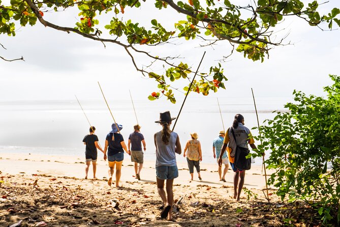 Walkabout Cultural Adventures - Ngana Julaymba Dungay Full Day - Transport and group size: comfort that helps you actually learn