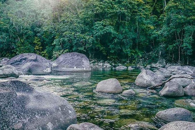 Walkabout Cultural Adventures - Ngana Julaymba Dungay Half Day - Mossman Gorge Cultural Centre, where the land story starts