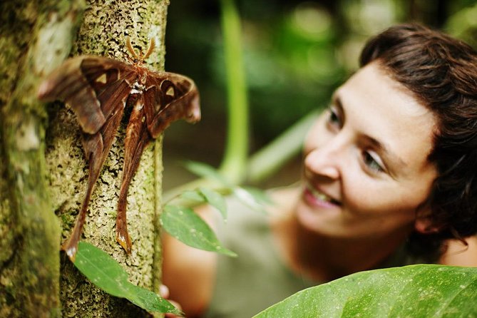Walkabout Cultural Adventures - Ngana Kulkinga Dungay Full Day - Cape Tribulation Beach: Short Time, Big Sense of Place
