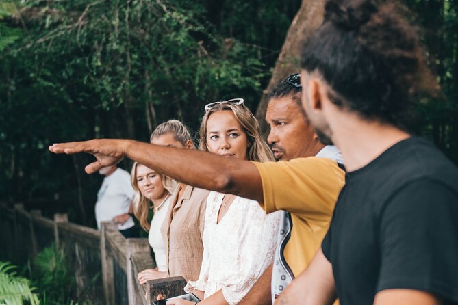 Walkabout Cultural Adventures - Ngana Kulkinga Dungay Full Day - The Freshwater Stream Swim, and Why It Changes the Day