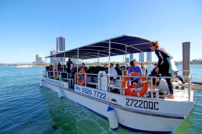 Wave Break Island Scuba Diving on the Gold Coast - Marina Mirage to the island: what the half-day rhythm feels like