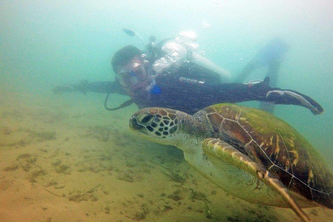 Wave Break Island Snorkel Tour on the Gold Coast - Who should book this tour, and who should think twice