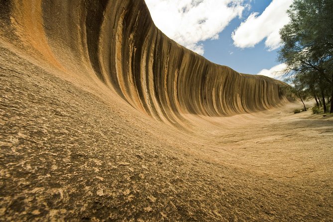 Wave Rock, York and Aboriginal Cultural Day Tour from Perth - Price and logistics: can $179.31 feel fair for a 12.5-hour loop?
