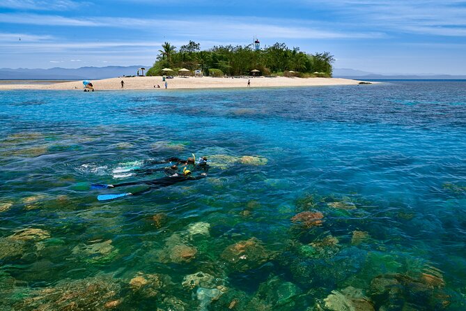 Wavedancer Low Isles Great Barrier Reef Sailing Cruise from Palm Cove - Price and value: what $221.63 includes, and what to watch