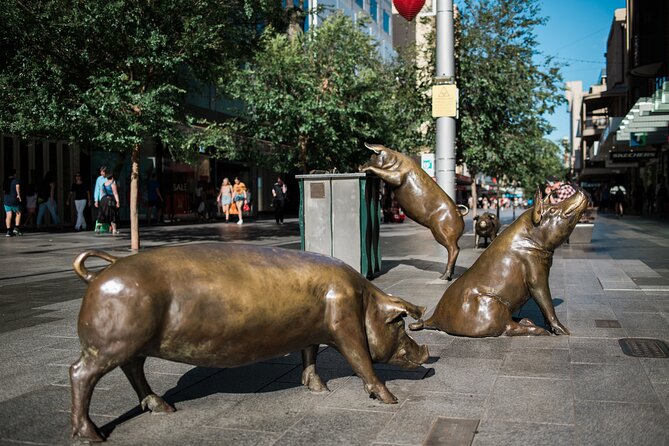 Welcome to Adelaide Walking Tour - Walking Comfort, Heat, and Weather Reality