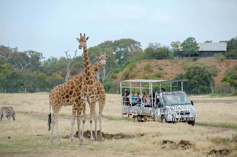 Werribee Open Range Zoo: Entry Ticket - Entering Werribee Open Range Zoo from Melbourne