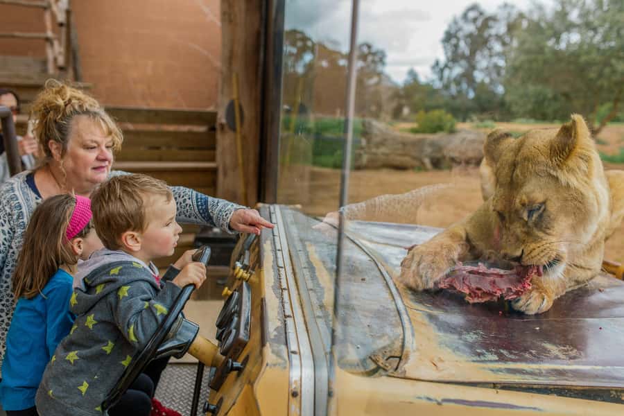 Werribee Open Range Zoo: Entry Ticket - The safari ride that drives the whole visit