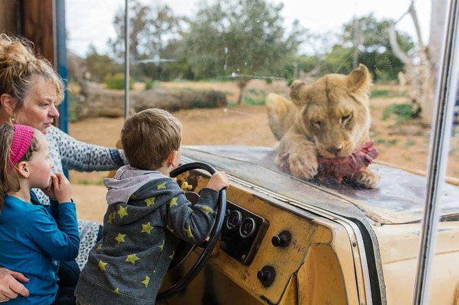 Werribee Open Range Zoo General Admission Ticket - Key highlights worth planning for