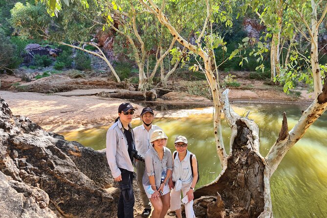 West MacDonnell Ranges Day Trip from Alice Springs - Ormiston Gorge picnic at the waterhole