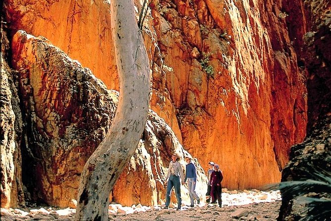 West MacDonnell Ranges Day Trip from Alice Springs - Your first photo stop, Simpsons Gap before the crowds