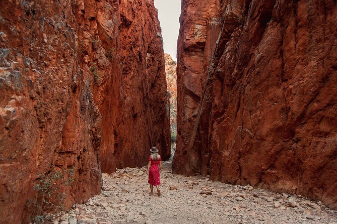 West MacDonnell Ranges Half day Tour -Small Group - Simpsons Gap: The Permanent Waterhole and Wildlife Chances