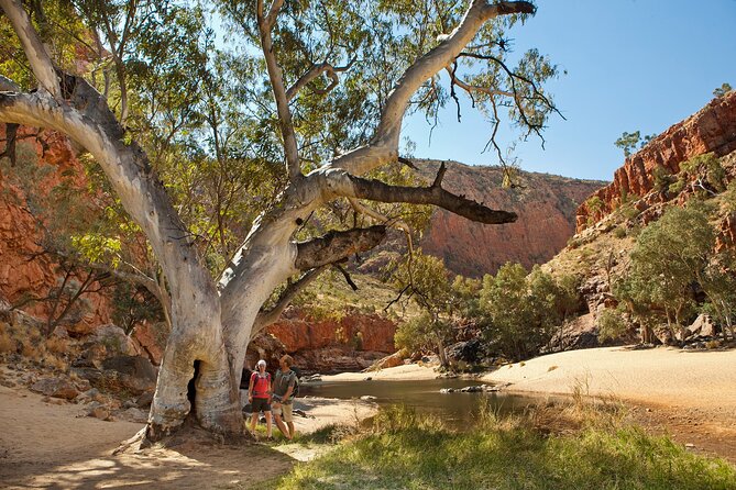 West MacDonnell Ranges & Standley Chasm Day Trip from Alice Springs - Why this day trip is easier than DIY driving from Alice Springs