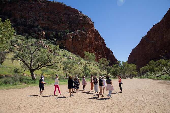 West MacDonnell Ranges & Standley Chasm Day Trip from Alice Springs - Simpsons Gap and the chance of seeing wildlife