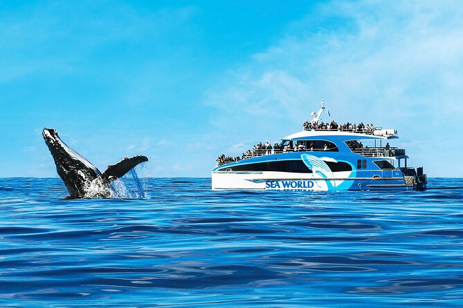Whale Watching by Sea World Cruises - Your 2.5-hour plan: from the Sea World terminal to whale habitat