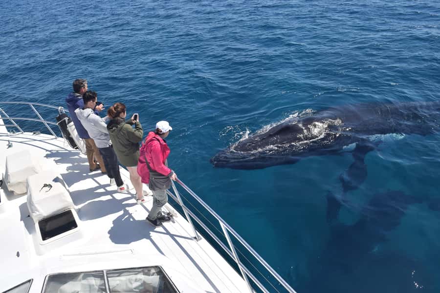 Whale Watching Cruise from Busselton, Augusta or Dunsborough - Where you’re going, and why the departure town matters