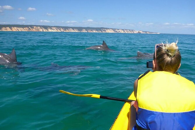 Whale Watching Cruise from Mooloolaba - What Happens During the 3-Hour Whale Watching Cruise
