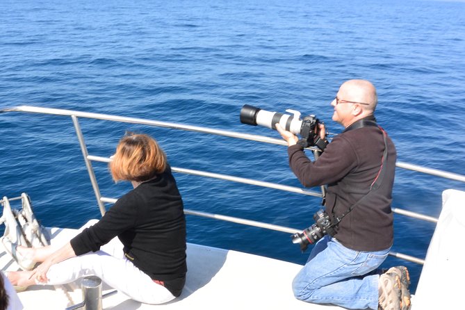 Whale Watching Cruise from Mooloolaba - Comfort and Included Drinks: The Small Stuff That Adds Up