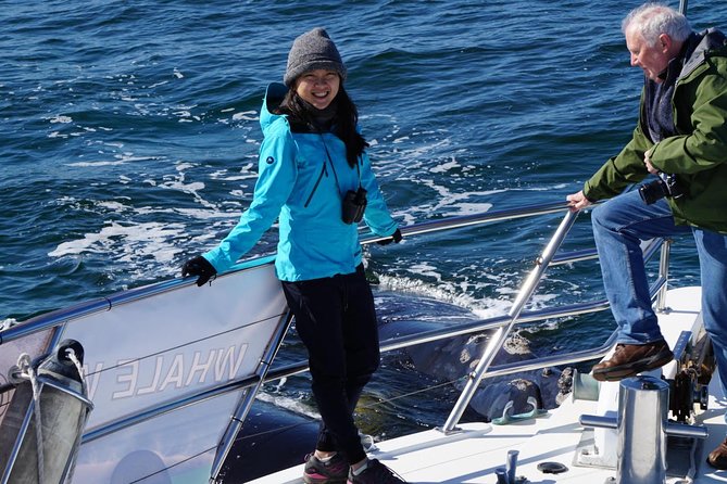Whale Watching Dunsborough - Price and Value: Is $68.14 Worth a 2-Hour Cruise?