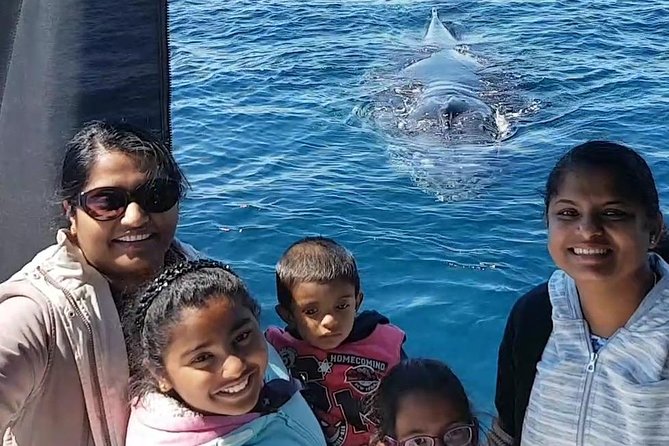 Whale Watching Dunsborough - Who This Tour Suits Best (And Who Might Want Another Option)