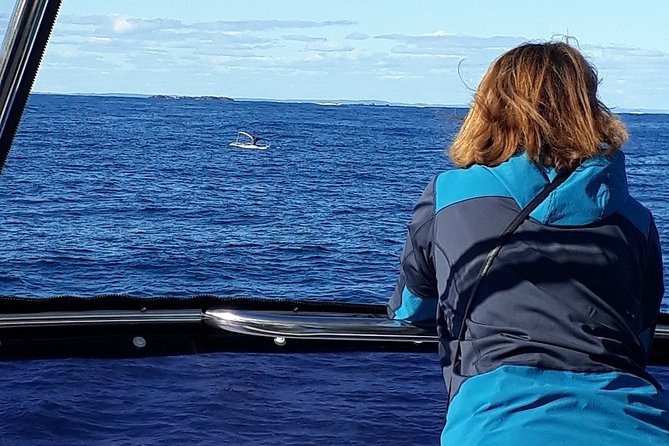 Whale Watching from Augusta in Western Australia - What to bring: warm layers, a camera, and shoes with grip