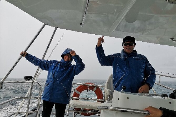 Whale Watching from Augusta in Western Australia - Group size, comfort, and who this tour suits best