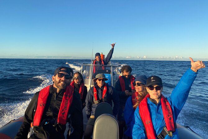 Whale Watching Gold Coast - When the weather changes the plan