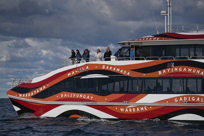 Whale Watching Sydney 2-Hour Express Cruise - Comfort and the onboard bar for a 2-hour cruise