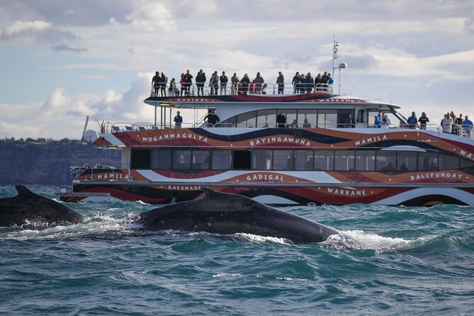 Whale Watching Sydney 2-Hour Express Cruise - Who this whale watching cruise suits best