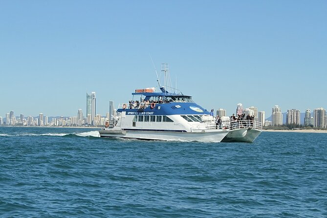 Whale Watching Tour with Spirit of Gold Coast - Morning tea, bar access, and the real cost math