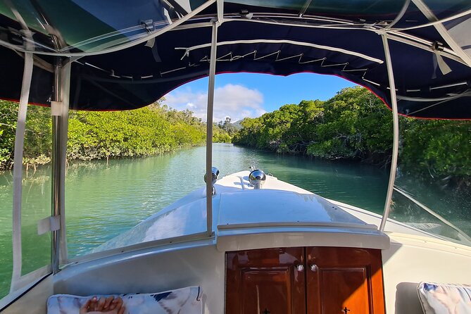 Whisper Cruises - One-Hour Turtle Spotting Bay Cruise - Price and What You Get in One Hour