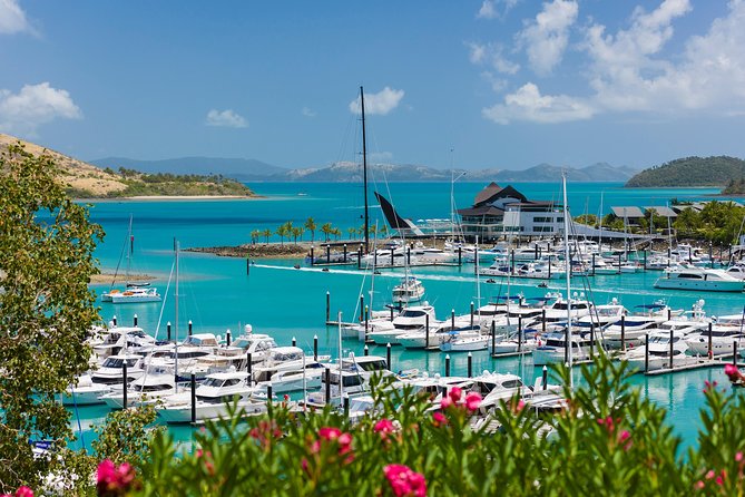Whitehaven Beach and Hamilton Island Cruise from Airlie Beach - Lunch at Marina Tavern (or Popeyes) and how to plan your food