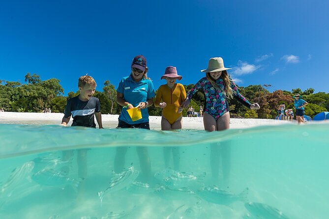 Whitehaven Beach and Hamilton Island Cruise from Airlie Beach - Weather, sea conditions, and the reverse-day option
