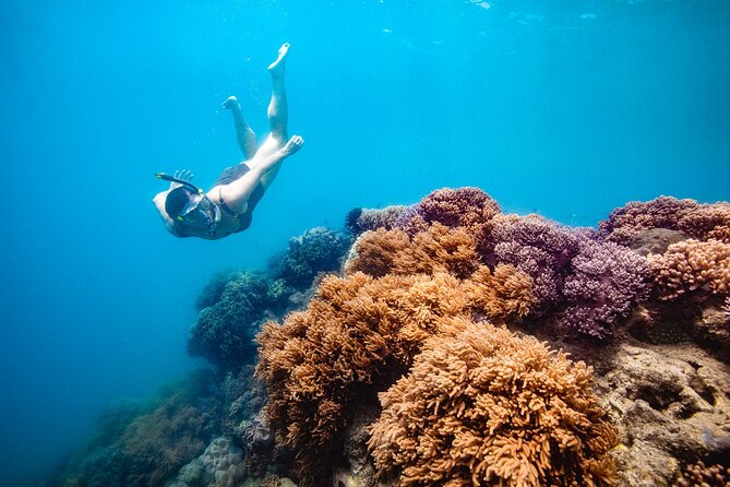 Whitehaven Beach and Hill Inlet Lookout Snorkeling Cruise - Key things to know before you go