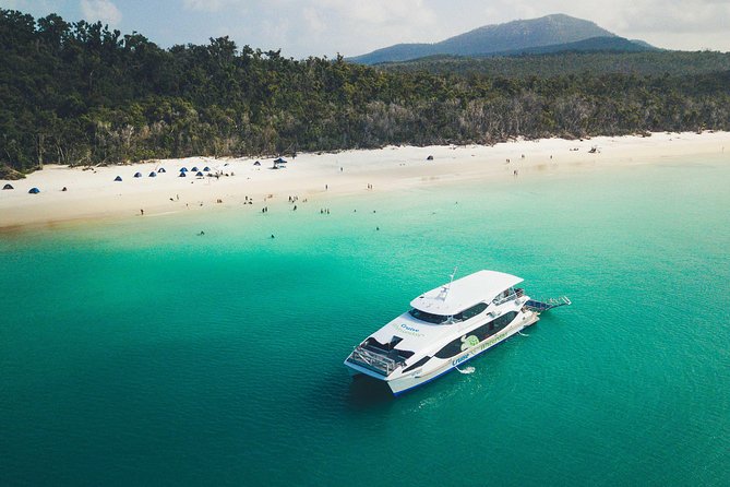 Whitehaven Beach Morning or Afternoon Tour - Who should book this half-day Whitehaven tour