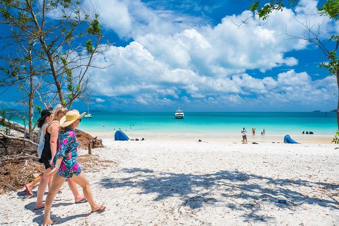 Whitehaven Beach Morning or Afternoon Tour - Should you book the Whitehaven Beach morning or afternoon tour?