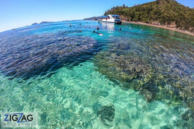 Whitehaven Beach Tour: 2 Options - All Day Beach Or Snorkel - What you eat and when you eat it (and why it matters on long days)