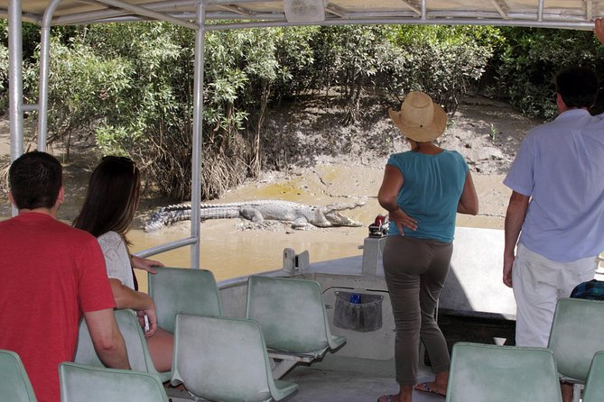 Whitsunday Crocodile Safari - Saltwater Crocs on the Proserpine: the day’s main wow factor