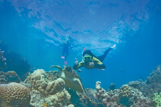 Whitsunday Islands Sail, SUP & Snorkel Tour- Small group - The six-hour flow: leaving Airlie Beach, then reef time, then back again