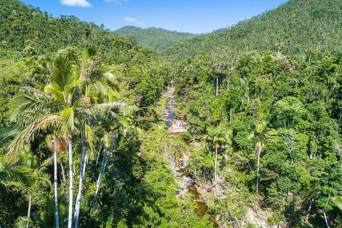 Whitsunday Segway Rainforest Discovery Tour - Key highlights