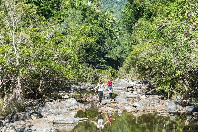 Whitsunday Segway Rainforest Discovery Tour - Creek-side morning tea: the break that makes it feel like a trip