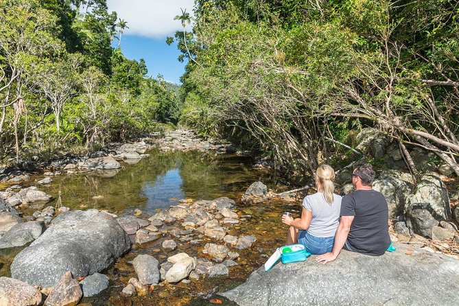 Whitsunday Segway Rainforest Discovery Tour - What wildlife and rainforest stories you might actually catch