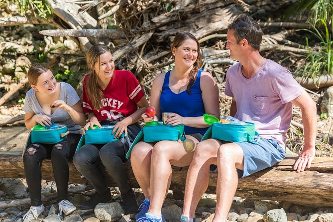 Whitsunday Segway Rainforest Discovery Tour - Who should book: families, first-timers, and first-ride confidence