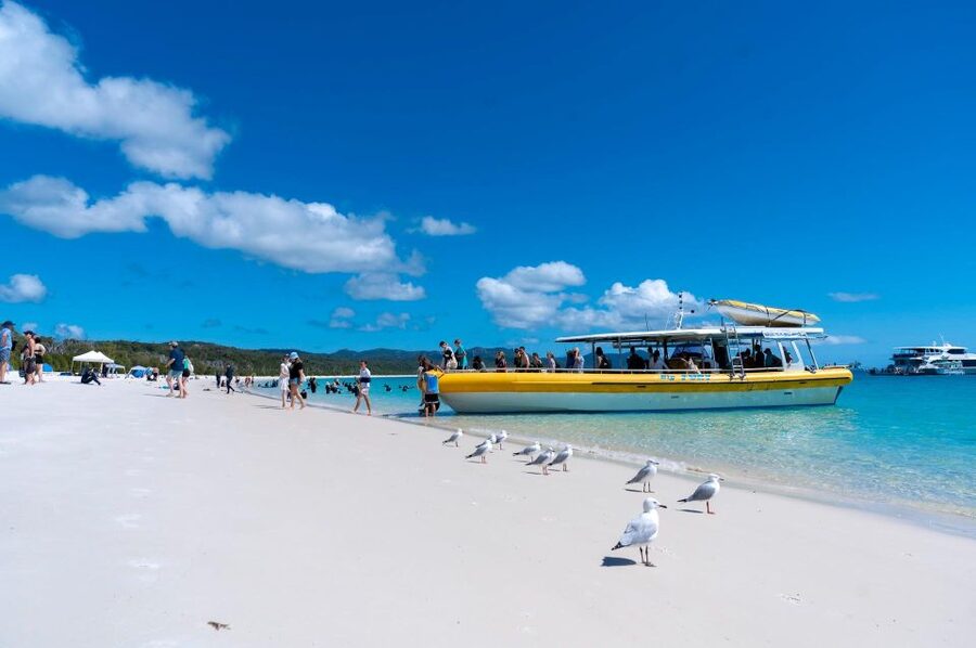 Whitsunday: Whitsunday Islands Tour with Snorkeling & Lunch - Who This Tour Suits Best (And Who Should Skip It)